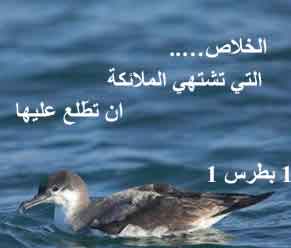 الخلاص الخلاص