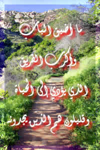 ما أضيق الباب ما أضيق الباب