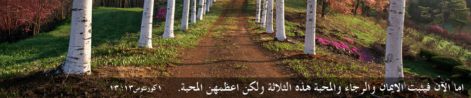 أما الآن فيثبت الإيمان والرجاء والمحبة هذه الثلاثة ولكن أعظمهن المحبة أما الآن فيثبت الإيمان والرجاء والمحبة هذه الثلاثة ولكن أعظمهن المحبة