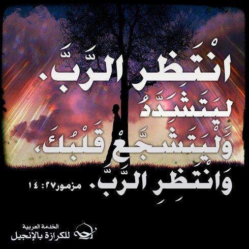 آيات من الكتاب المقدس عن الشجاعة