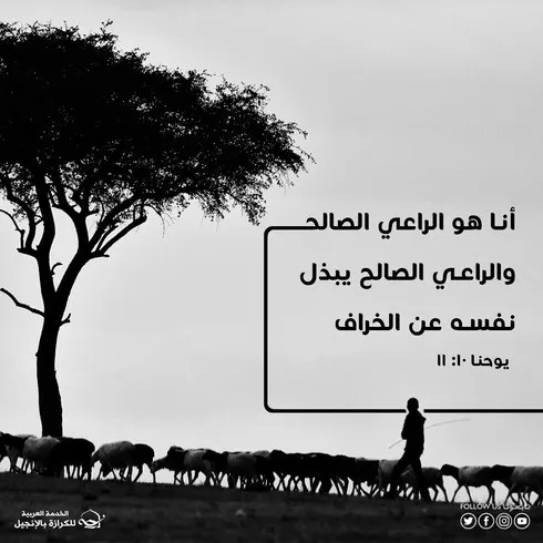 المسيح الراعي الصالح: معرفة ومحبة وبذل بلا حدود