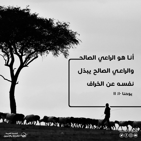 المسيح الراعي الصالح: معرفة ومحبة وبذل بلا حدود