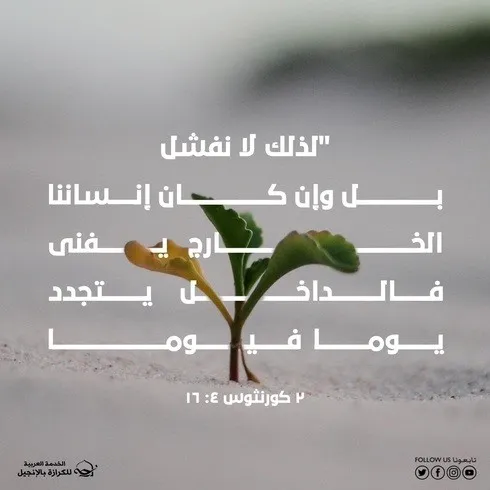 التجديد اليومي بين ضعف الجسد وقوة الروح