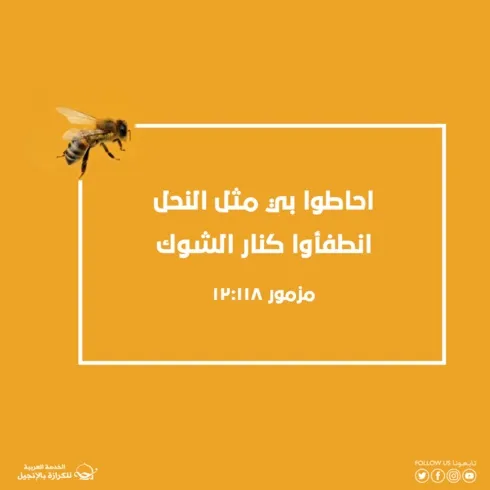 اطلبوا ملكوت الله