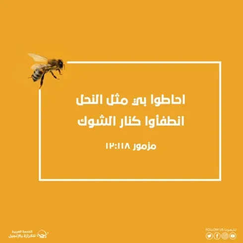 اطلبوا ملكوت الله