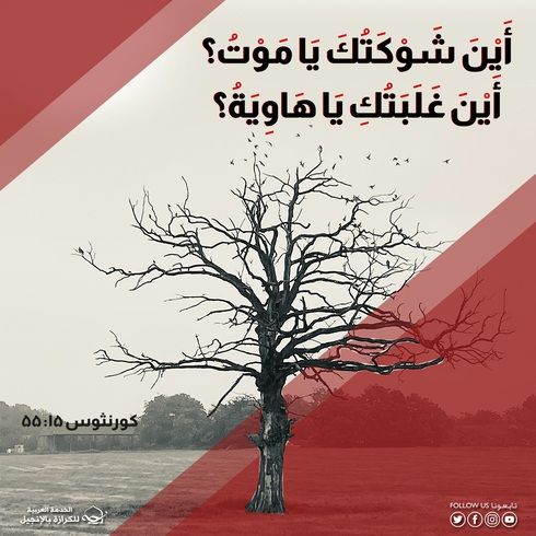 آيات من الكتاب المقدس عن الموت