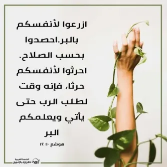 آيات من الكتاب المقدس عن البحث عن الله