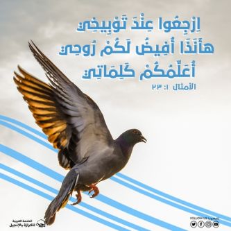 آيات من الكتاب المقدس عن الروح القدس