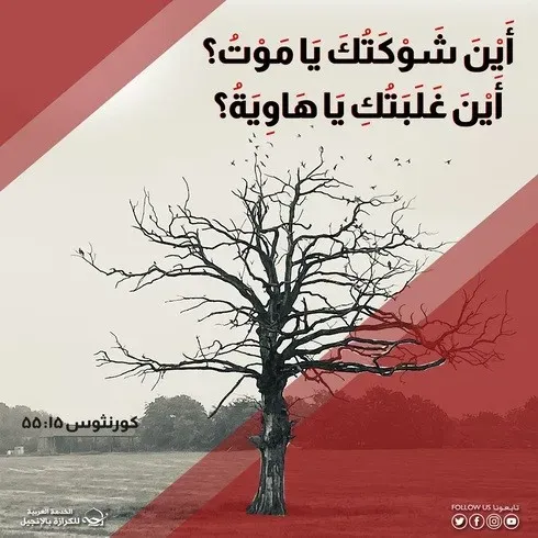 آيات من الكتاب المقدس عن الموت