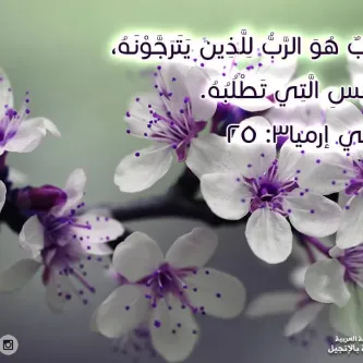 آيات من الكتاب المقدس الخجل والعار