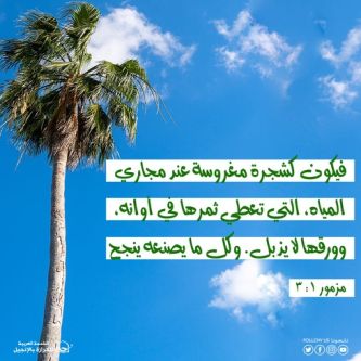 آيات من الكتاب المقدس عن المثمر