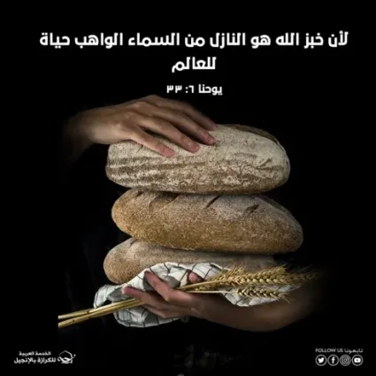 الشبع الحقيقي في المسيح