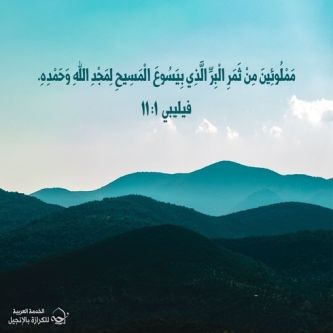 آيات من الكتاب المقدس عن نمو النعمة