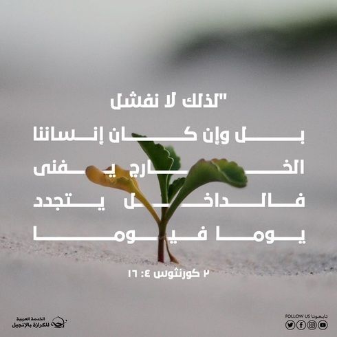 التجديد اليومي بين ضعف الجسد وقوة الروح