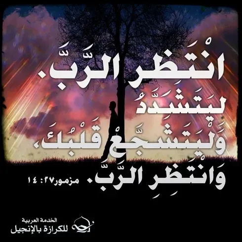  آيات من الكتاب المقدس عن الشجاعة