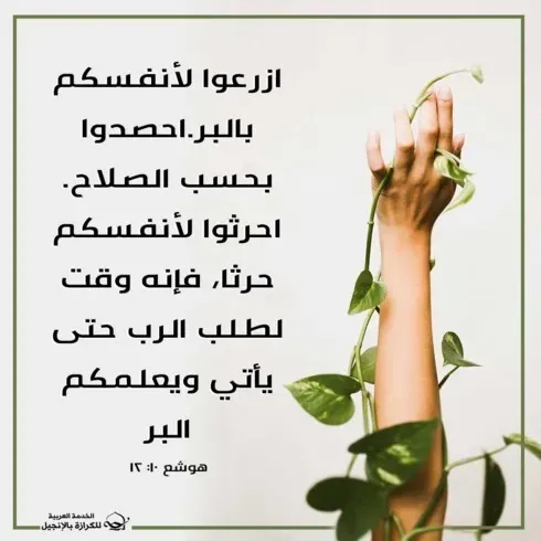 آيات من الكتاب المقدس عن البحث عن الله
