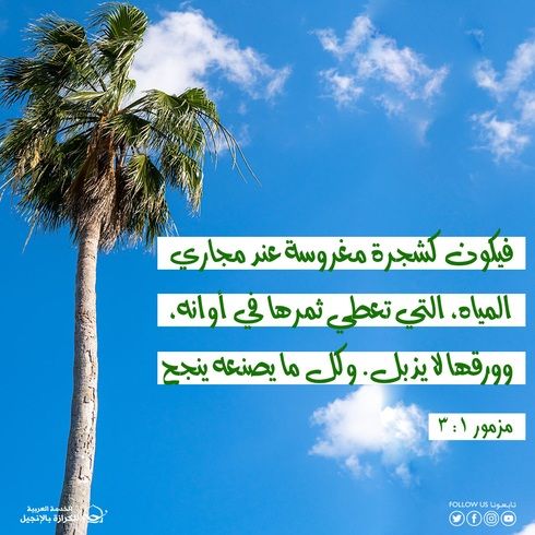 آيات من الكتاب المقدس عن المثمر