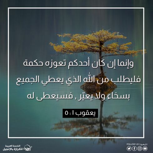 آيات من الكتاب المقدس عن الحكمة 