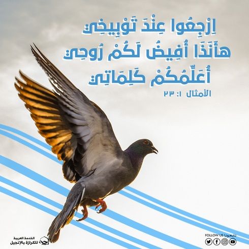 آيات من الكتاب المقدس عن الروح القدس